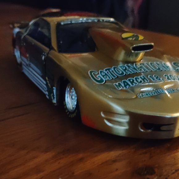 Gatornationals Commemorative Banner - Yellow - Picture 8 of 13